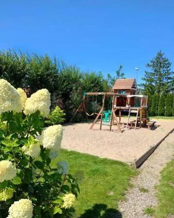 Lawenda Ustronie Morskie