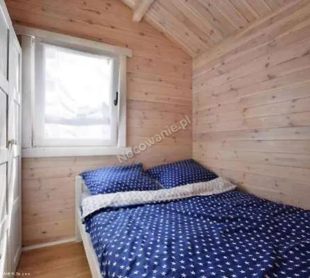 Lawenda Ustronie Morskie