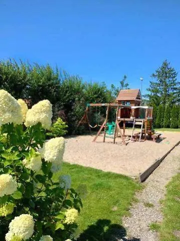 Lawenda Ustronie Morskie